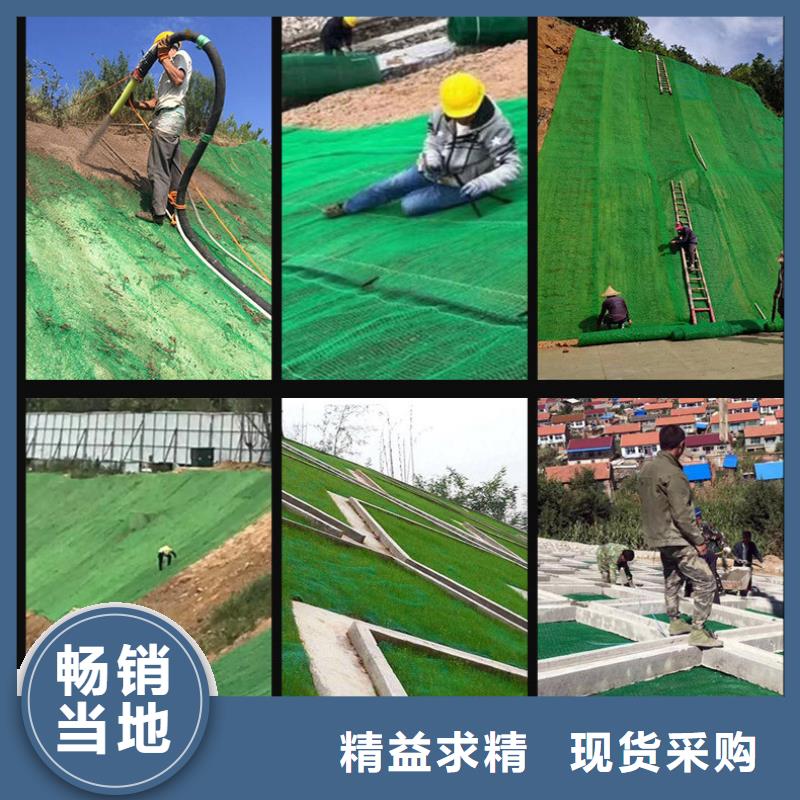 【三維植被網】-聚丙烯單絲纖維聯系廠家