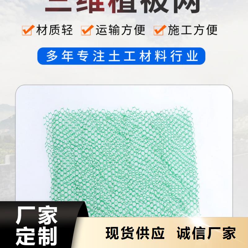 三維植被網(wǎng)抗裂纖維廠家把實惠留給您