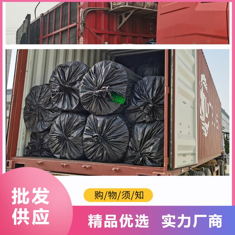 三維植被網(wǎng)聚乙烯醇纖維廠家定金鎖價(jià)