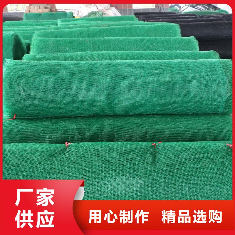 【三維植被網】_仿鋼塑鋼纖維性能穩定