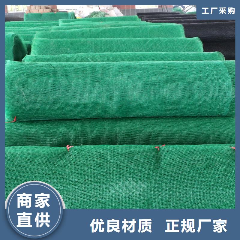 【三維植被網(wǎng)】止水銅片工藝成熟