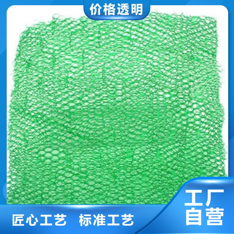 三維植被網砂漿混凝土纖維好品質用的放心