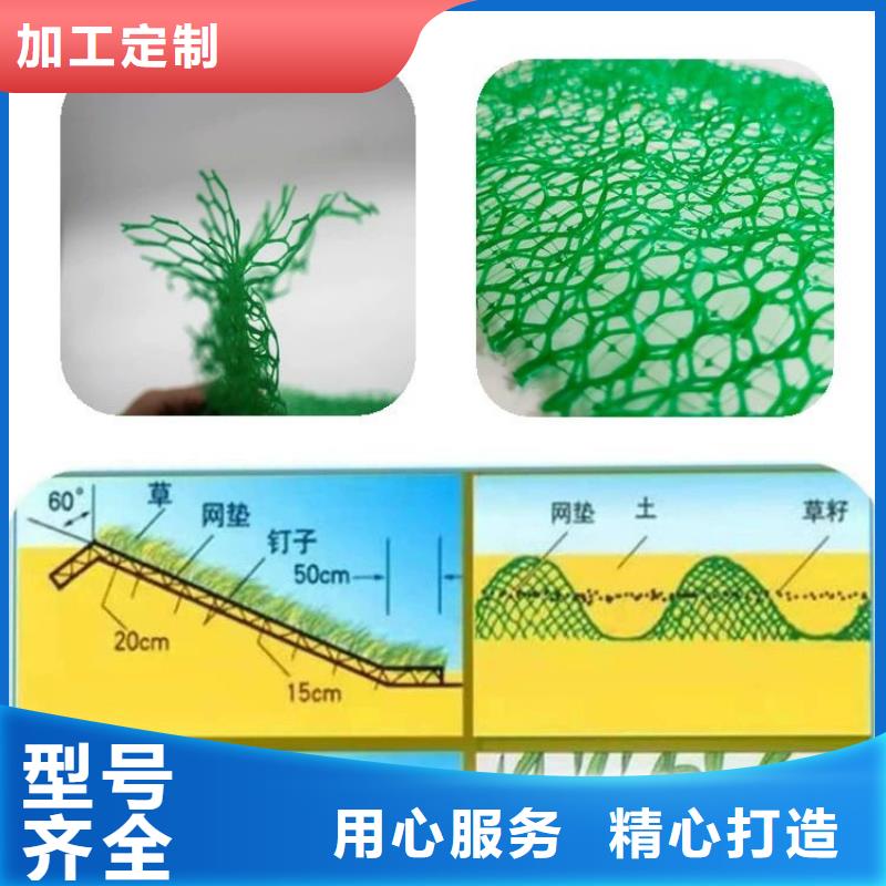 三維植被網,聚乙烯醇纖維廠家隨心所欲定制