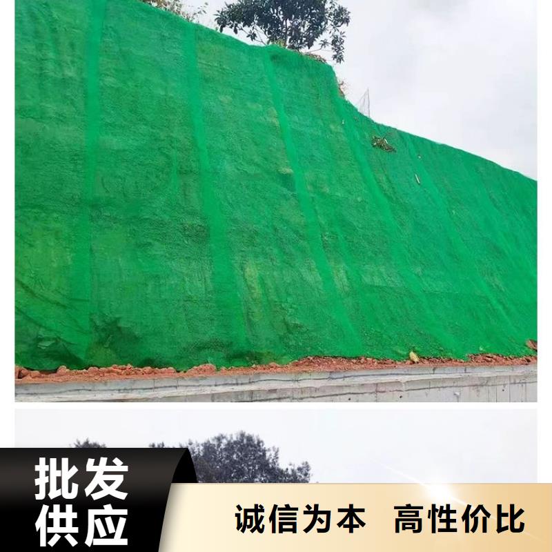 三維植被網紫銅止水片質量層層把關