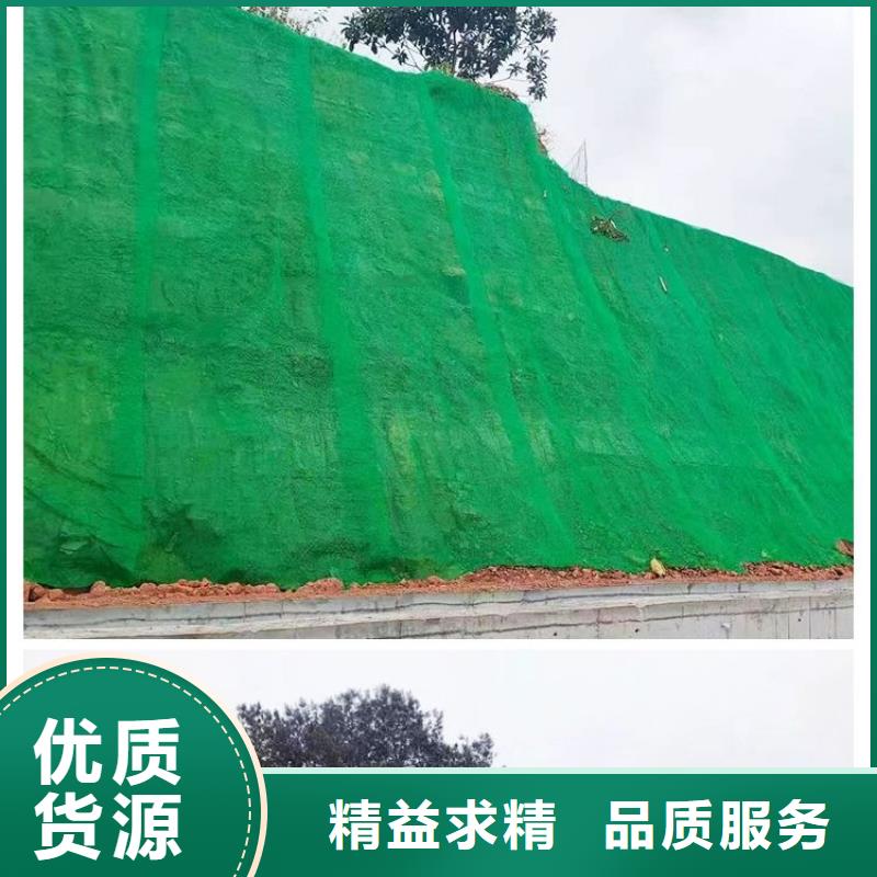 【三维植被网,沥青麻筋实力厂家直销】