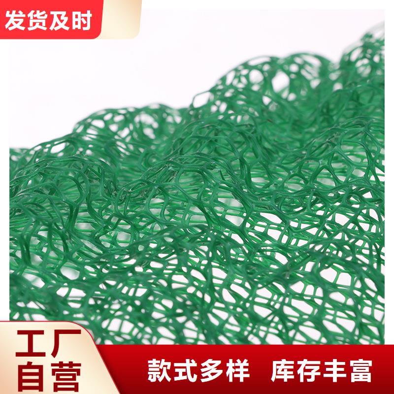三維植被網,聚乙烯醇纖維廠家隨心所欲定制
