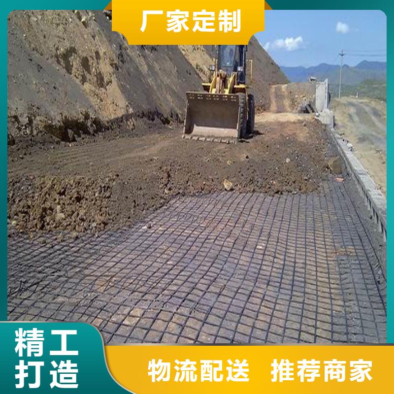 雙向土工格柵來廠考察廠家
