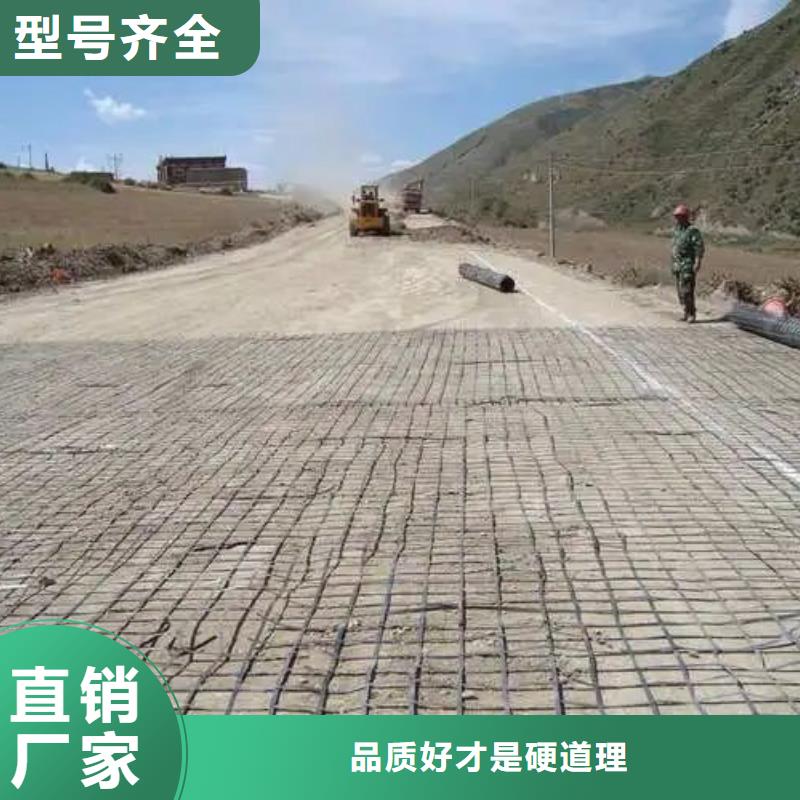 三沙市玻纖格柵10年經(jīng)驗(yàn)廠家