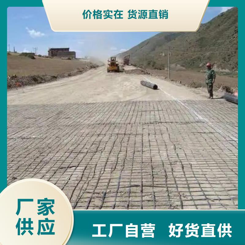 塑鋼土工格柵價格質(zhì)優(yōu)價廉價格