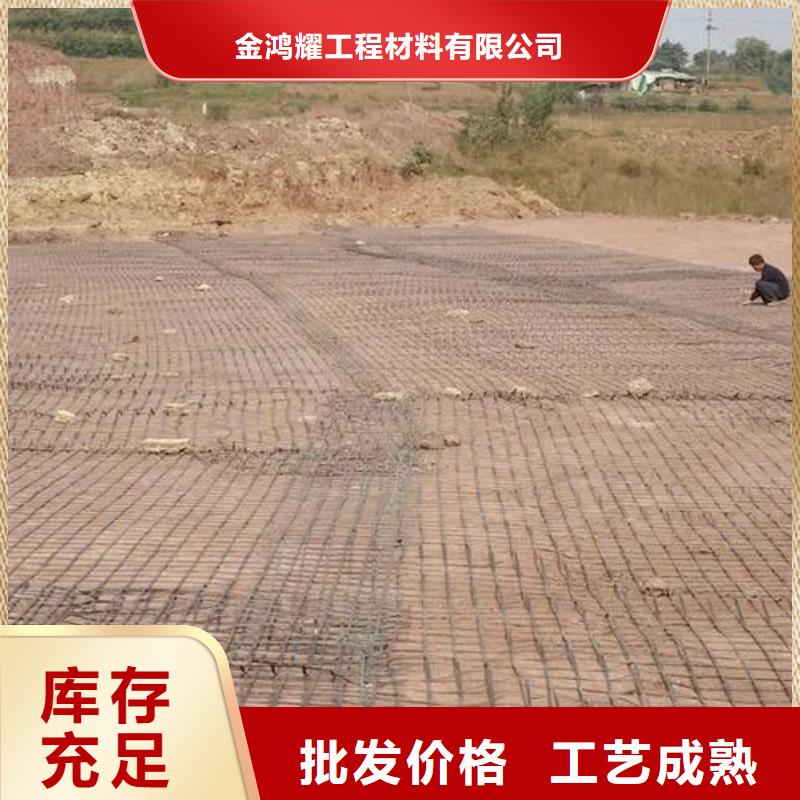 土工格柵【止水銅片廠家】質保一年