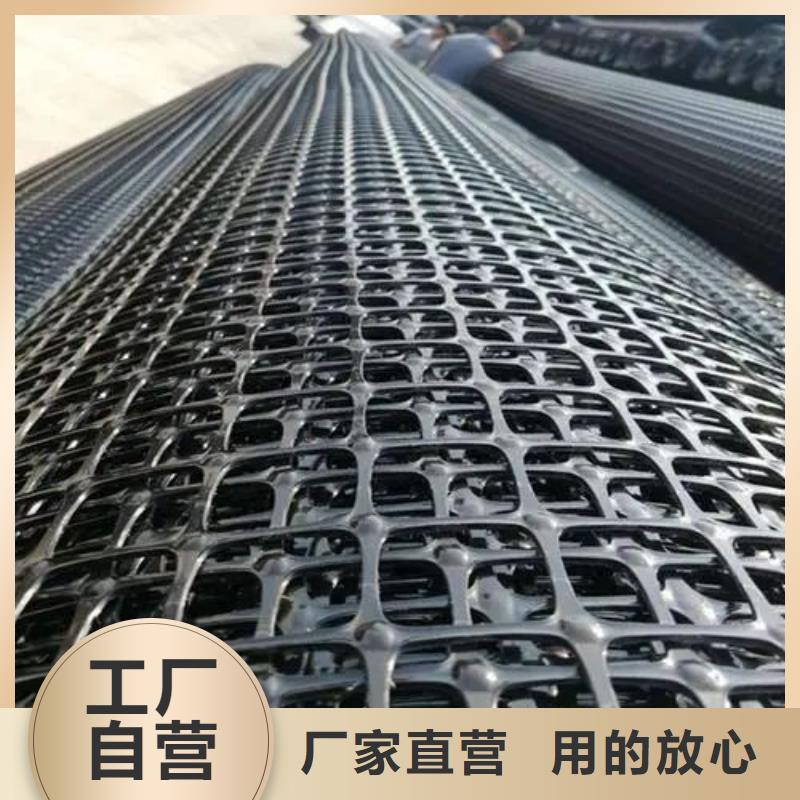 鋼塑土工格柵發(fā)貨及時廠家
