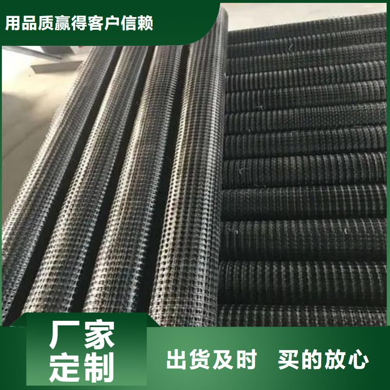 五指山市塑鋼土工格柵價格采購價格廠家
