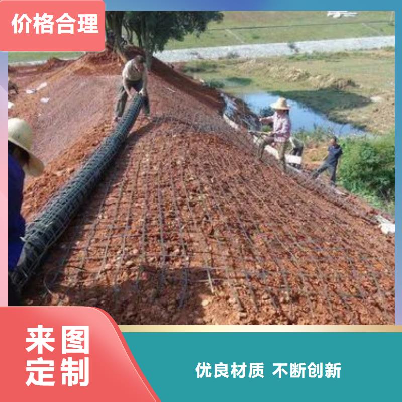 鋼塑格柵多少錢一平方企業-大品牌