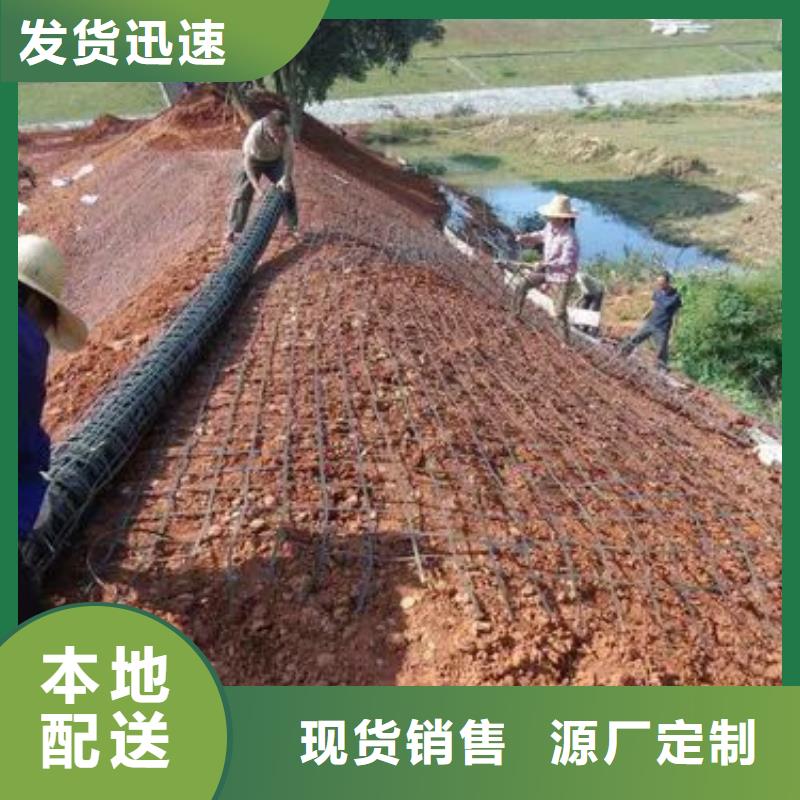 塑料格柵10年經驗電話