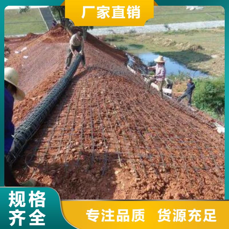 三沙市塑料格柵價格行情廠家