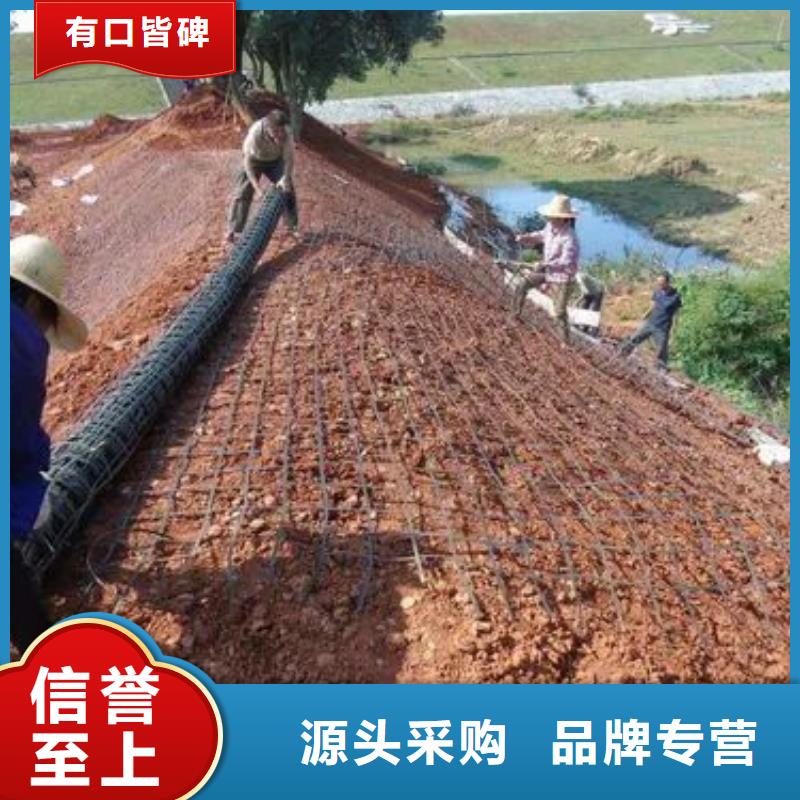 鋼塑土工格柵安裝電話