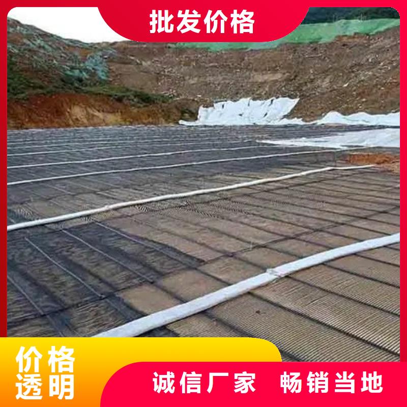 塑料格柵誠信廠家廠家