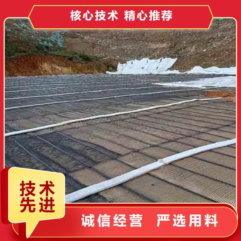 儋州市鋼塑格柵多少錢一平方靠譜廠家