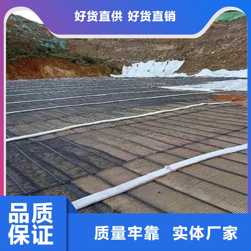 鋼塑土工格柵價格電話