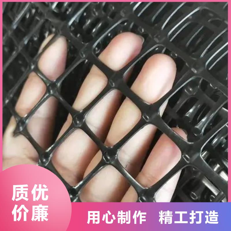 鋼塑土工格柵型號品質(zhì)過關(guān)價格
