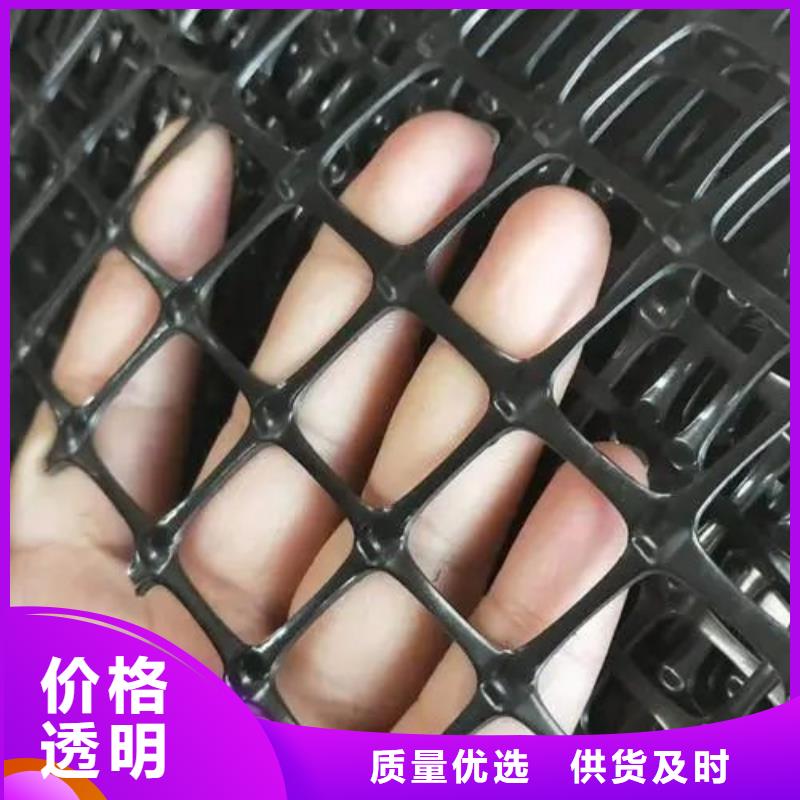 儋州市鋼塑格柵多少錢一平方靠譜廠家