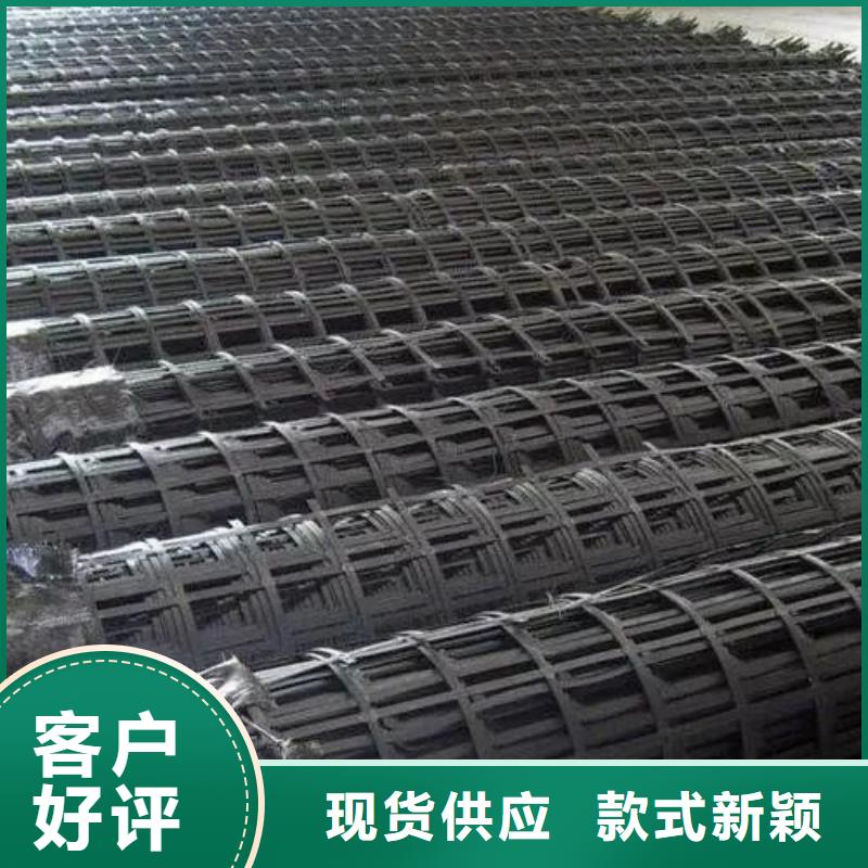 鋼塑土工格柵型號質量優價格