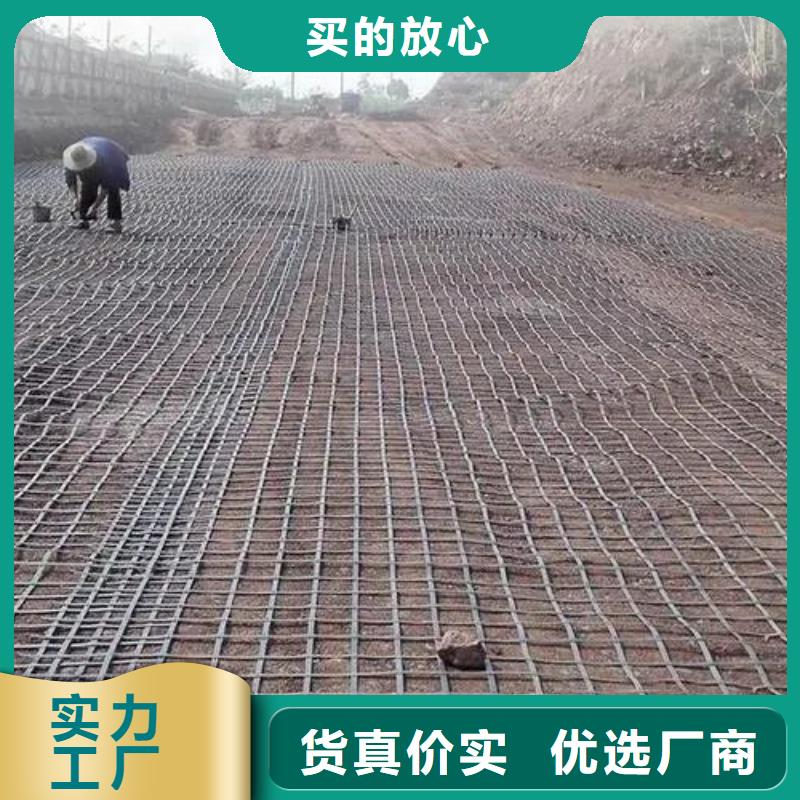 玻纖格柵規格型號源頭好貨