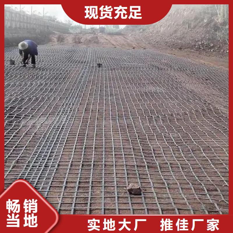 鋼塑土工格柵上門服務(wù)電話
