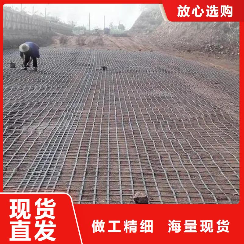 三維土工格柵良心廠家廠家