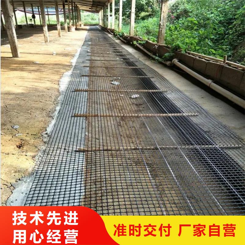 土工格柵圖片價格合理