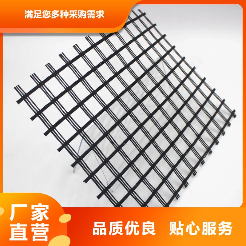 鋼塑土工格柵型號質量優價格