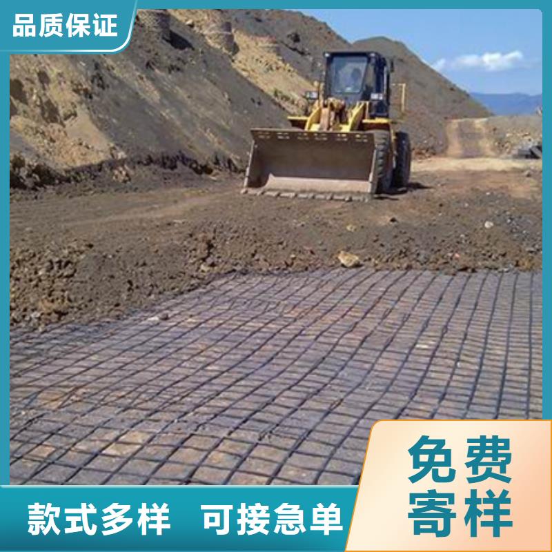 五指山市土工格柵圖片按需定制價格