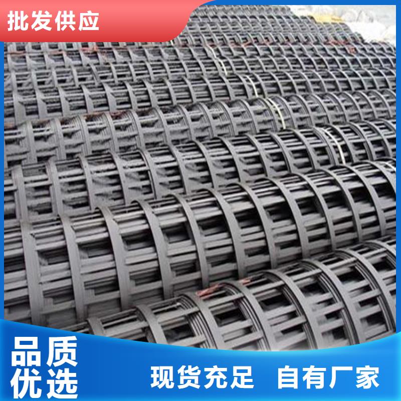 鋼塑土工格柵型號質量優價格