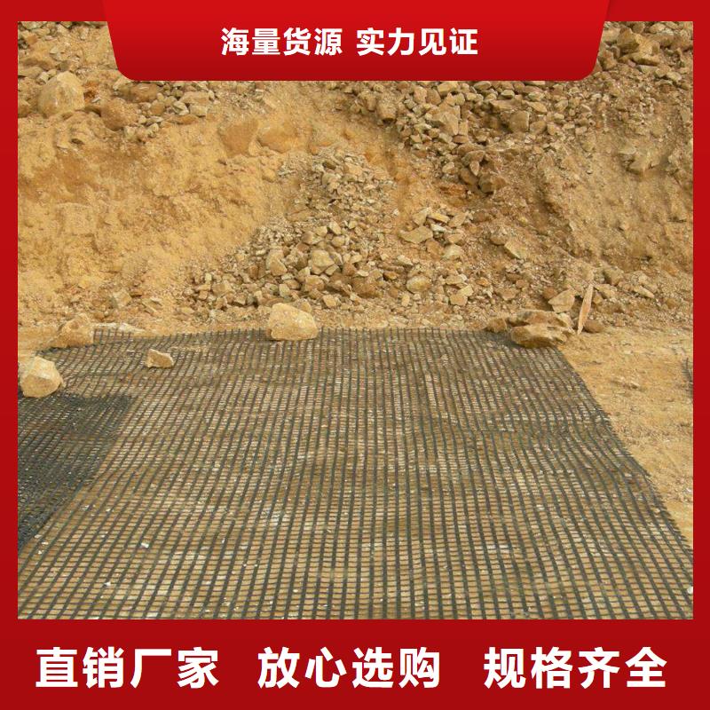 【土工格柵_銅止水您身邊的廠家】