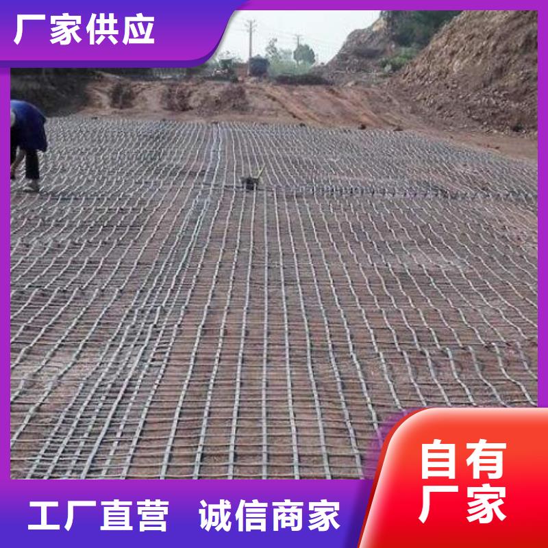 雙向土工格柵靠譜廠家廠家