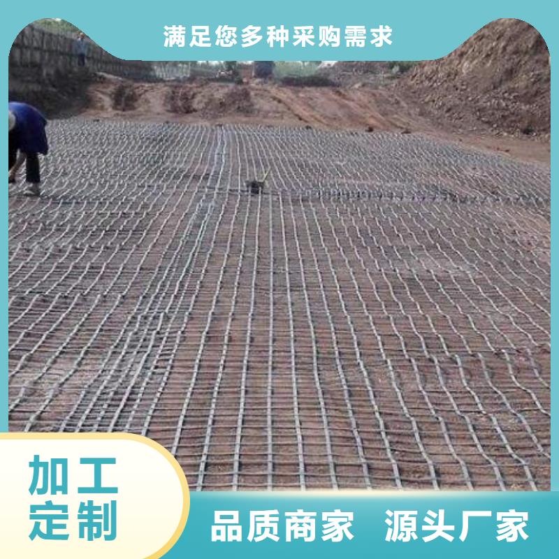 鋼塑土工格柵實體大廠廠家