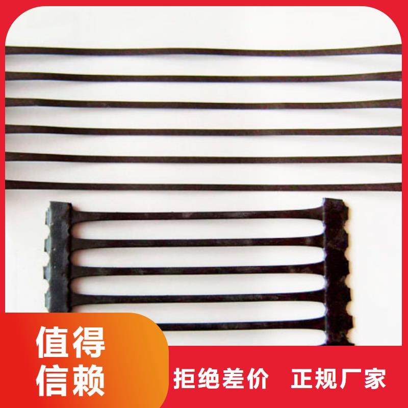 塑鋼土工格柵價格質(zhì)優(yōu)價廉價格