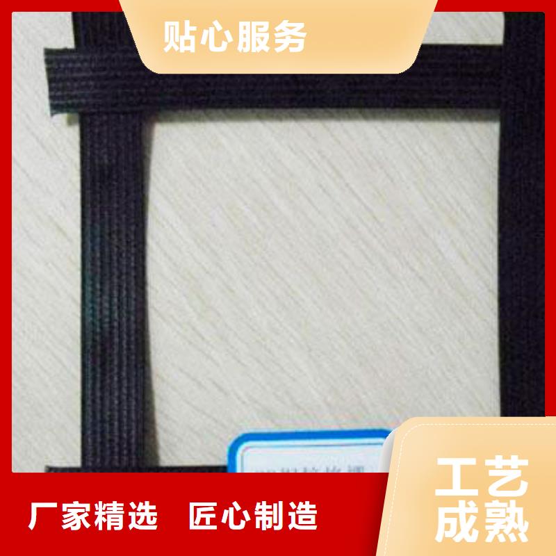 鋼塑土工格柵價格電話