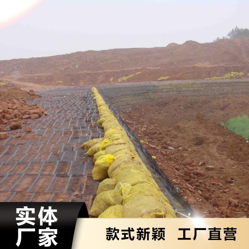 鋼塑土工格柵實體大廠廠家