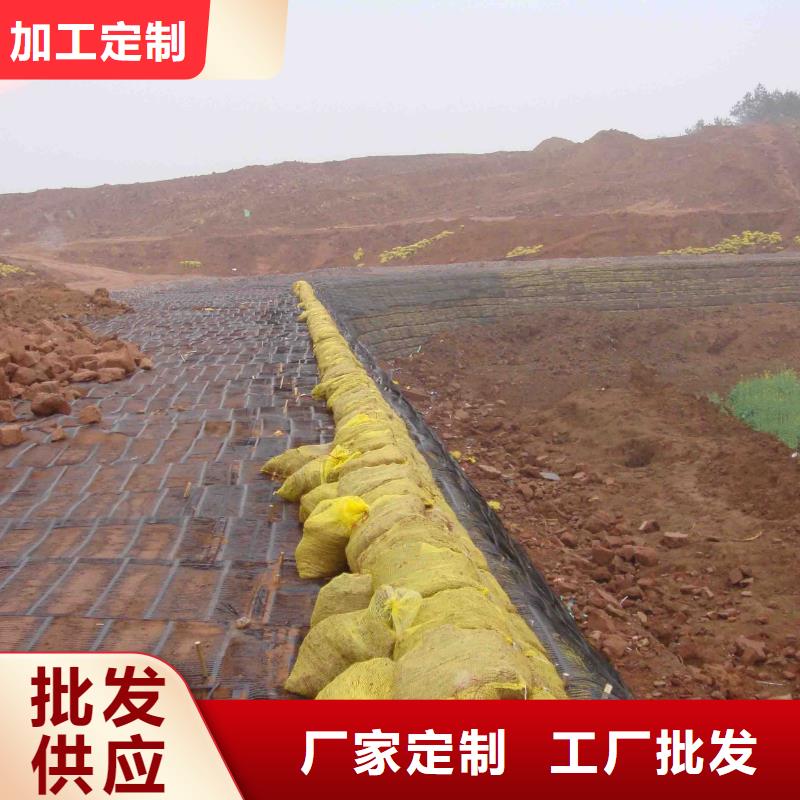 可定制的玻纖土工格柵的作用供貨商