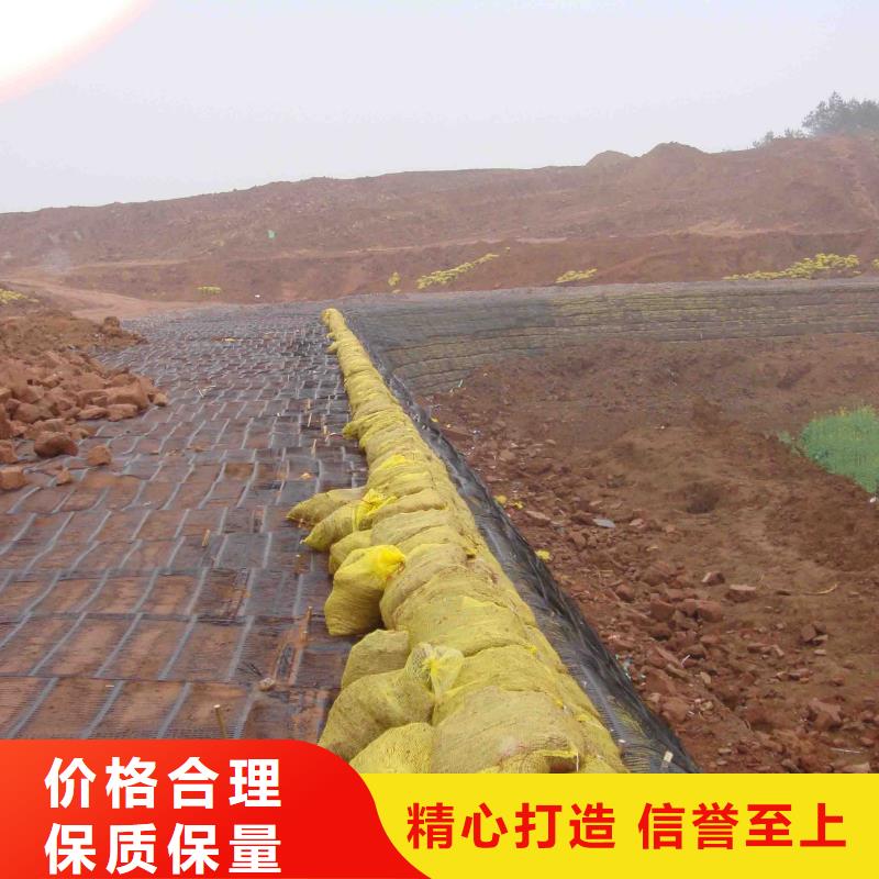 土工格柵出廠價格廠家