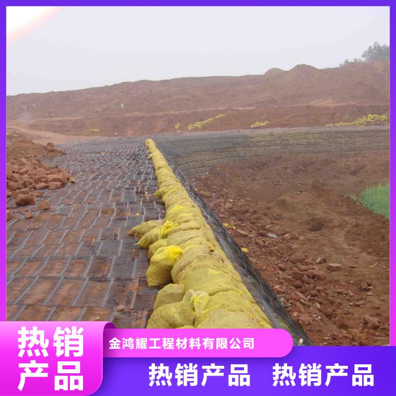 土工格柵規格現貨供應價格
