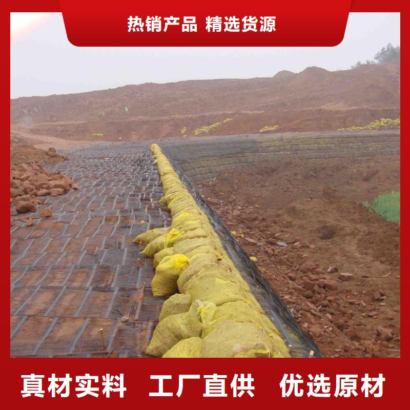 五指山市塑鋼土工格柵價格采購價格廠家
