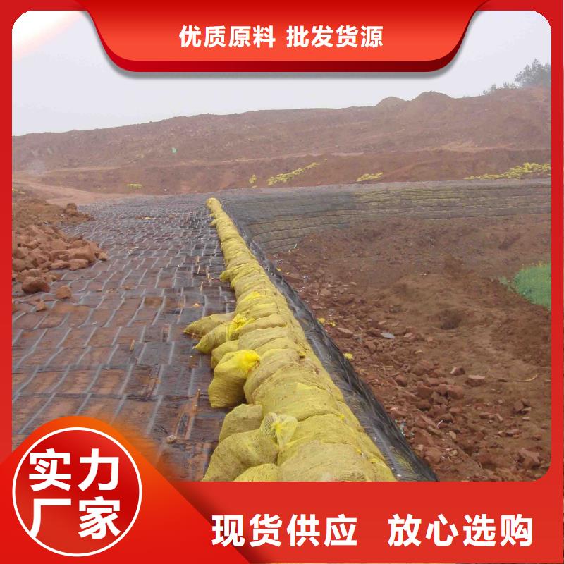 鋼塑土工格柵價格電話