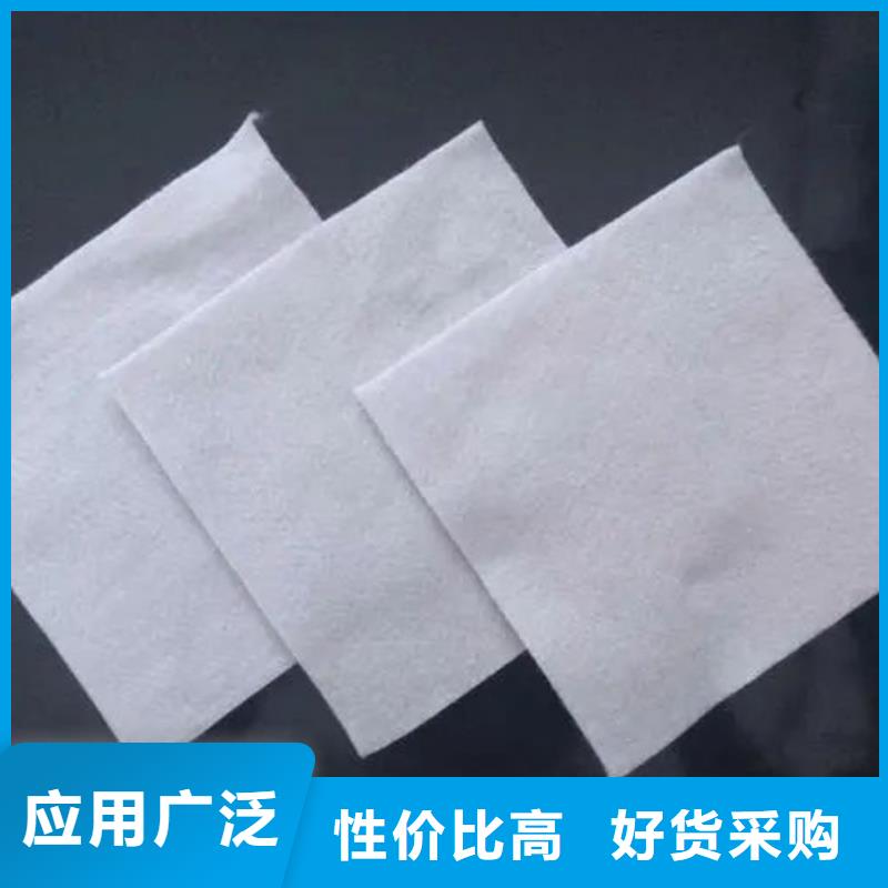 【土工布,土工席墊多種規(guī)格供您選擇】