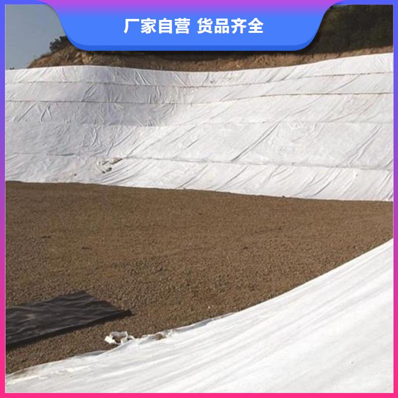 復合土工布復合土工膜價格資訊
