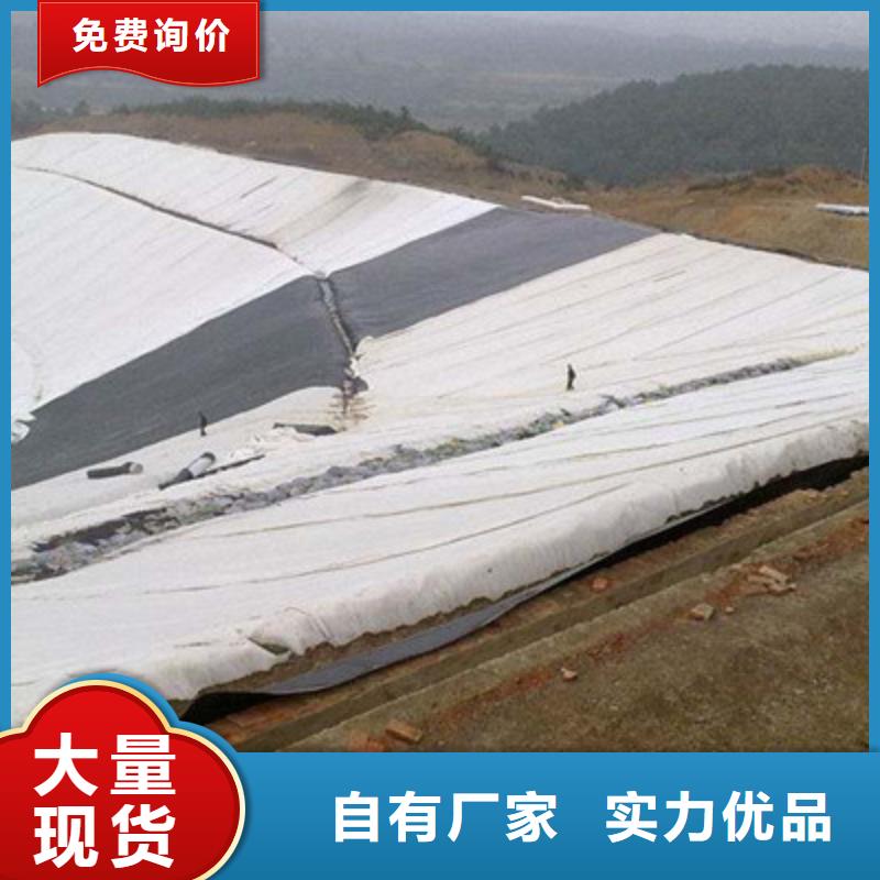 透水土工布廠家價(jià)格_透水土工布廠家