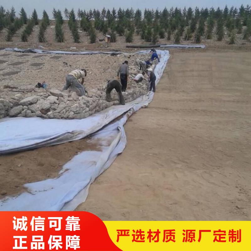 復合土工布復合土工膜價格資訊