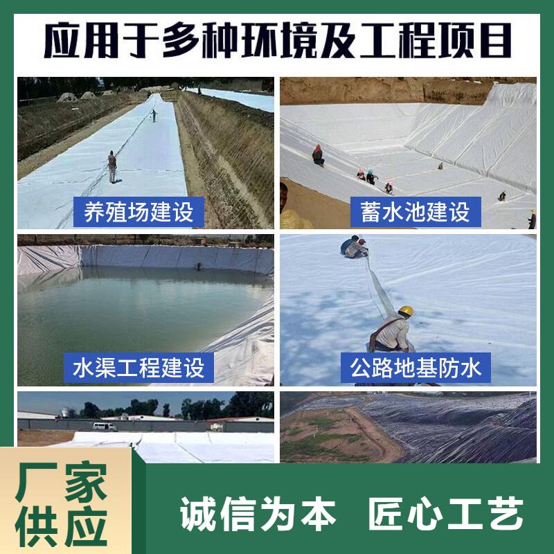 土工布水平止水銅片多種款式可隨心選擇