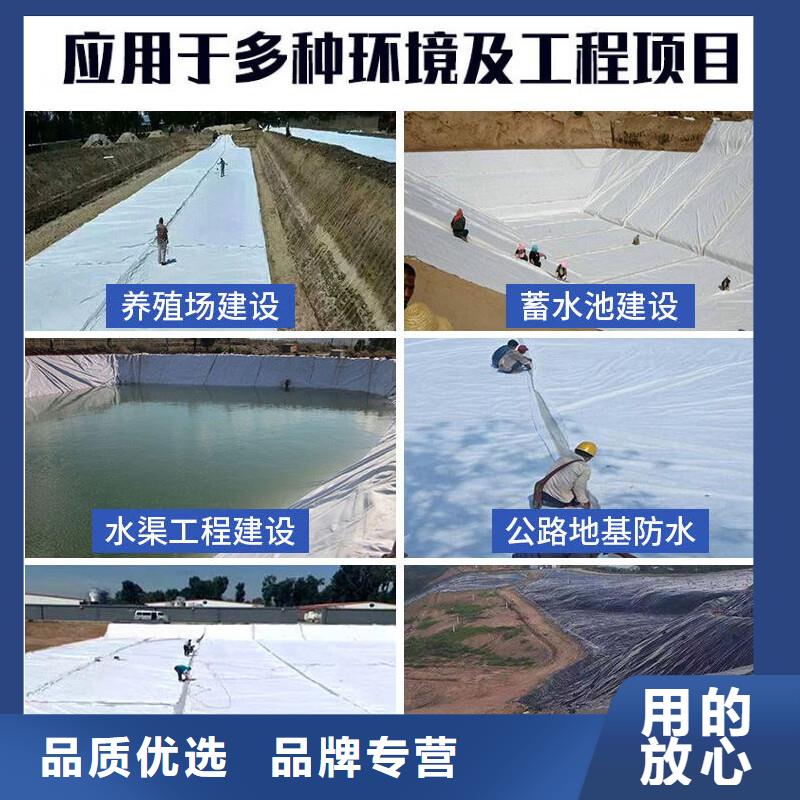 土工布-聚丙烯單絲纖維產品實拍